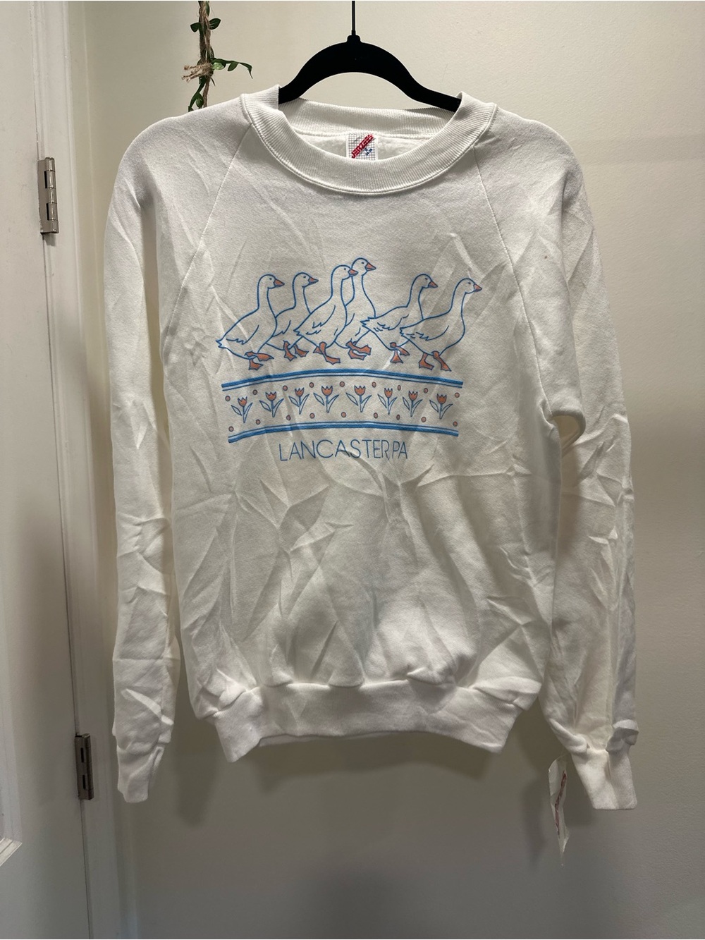 Women’s S | New Old Stock Vintage 80s Jerzees Lancaster Penn Goose Sweatshirt